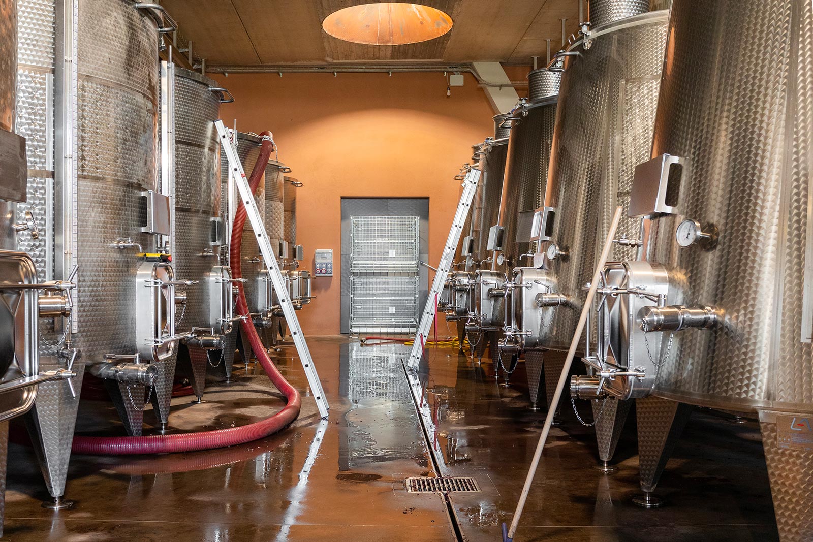 Palmento Costanzo - Etna