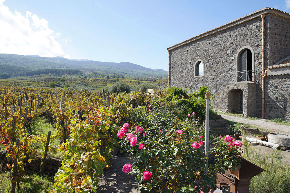 Palmento Costanzo - Etna