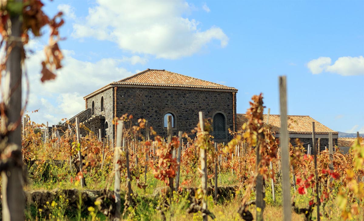 Palmento Costanzo